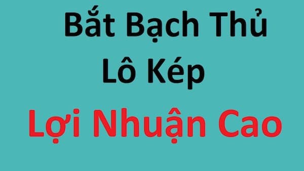 bí kíp bắt lô kép chotlo.com